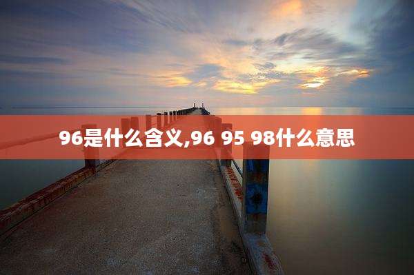 96是什么含义,96 95 98什么意思