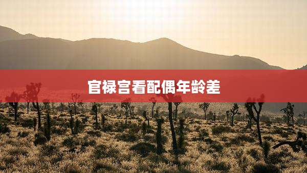 官禄宫看配偶年龄差