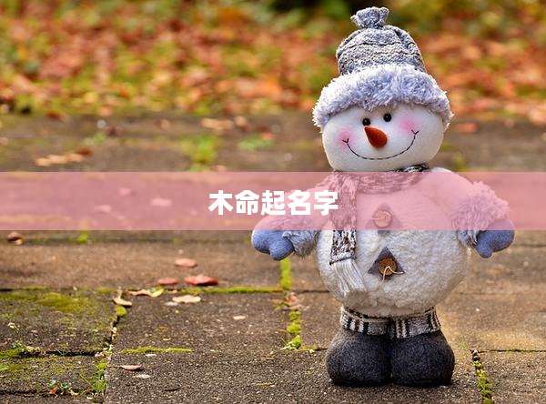 木命起名字