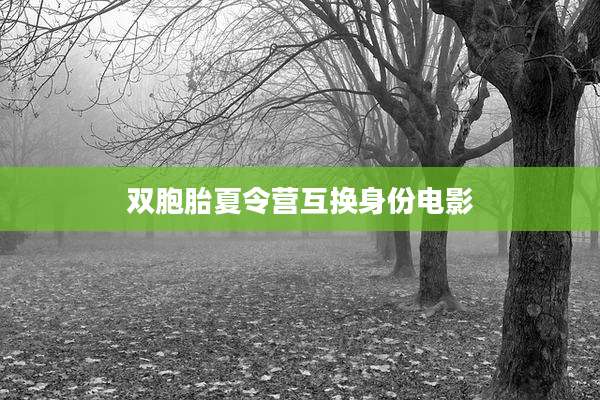 双胞胎夏令营互换身份电影