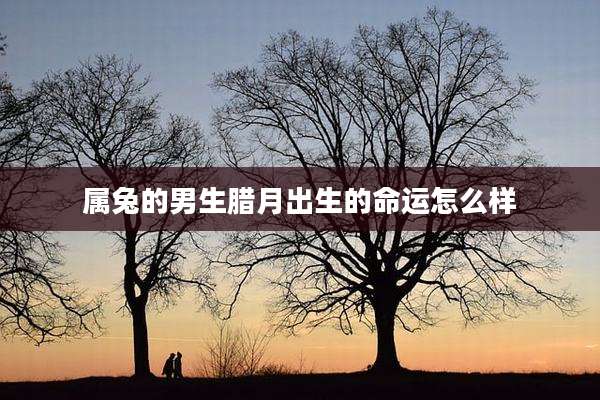 属兔的男生腊月出生的命运怎么样