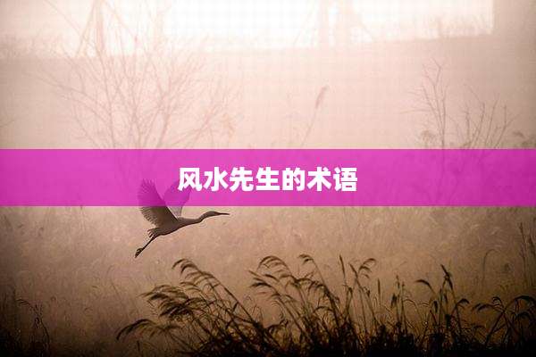 风水先生的术语