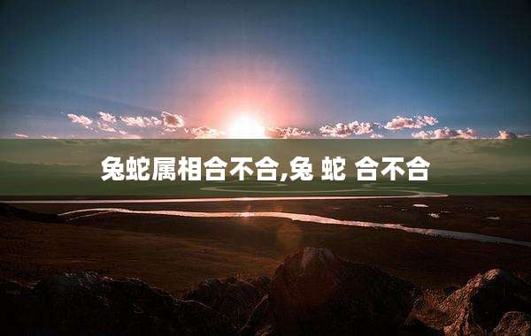 兔蛇属相合不合,兔 蛇 合不合