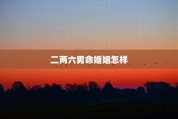 二两六男命婚姻怎样