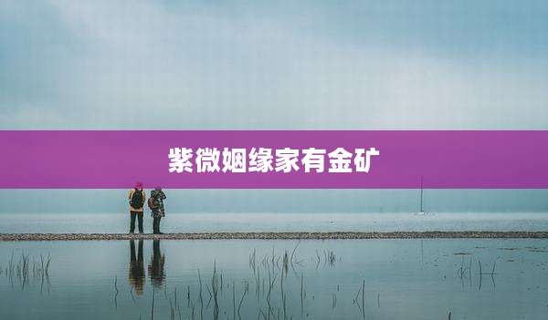 紫微姻缘家有金矿