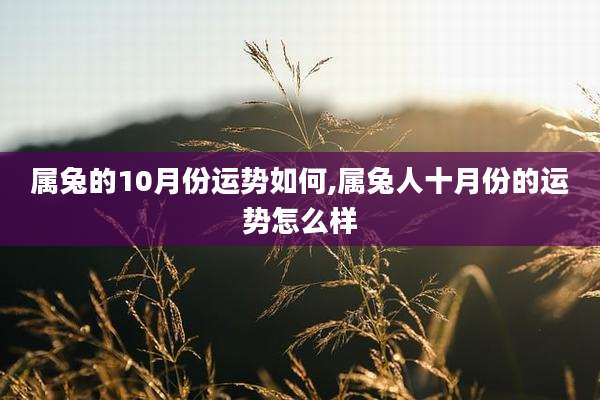 属兔的10月份运势如何,属兔人十月份的运势怎么样
