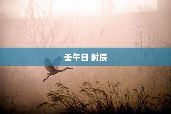 壬午日 时辰