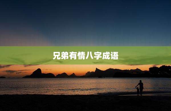 兄弟有情八字成语