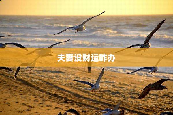 夫妻没财运咋办