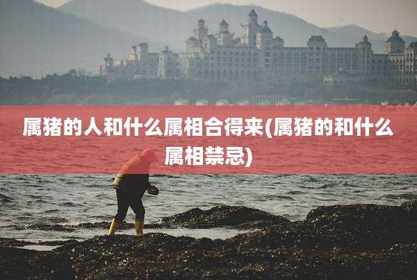 属猪的人和什么属相合得来(属猪的和什么属相禁忌)