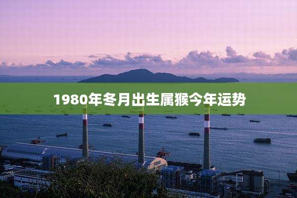 1980年冬月出生属猴今年运势