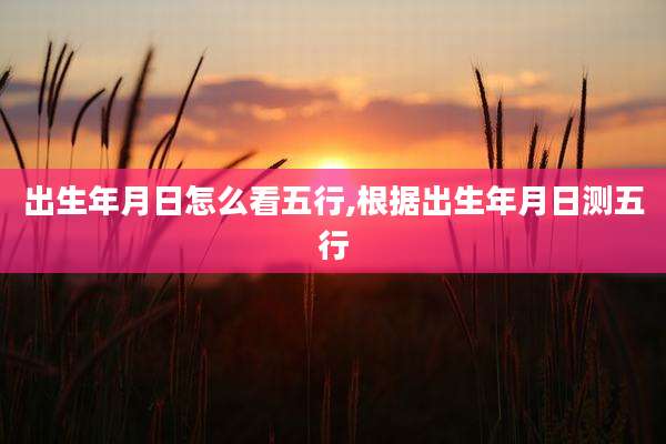 出生年月日怎么看五行,根据出生年月日测五行