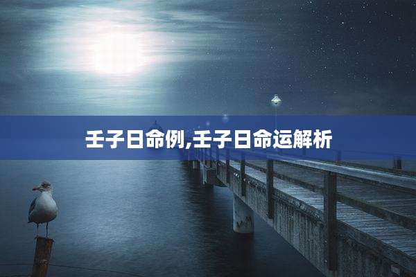 壬子日命例,壬子日命运解析