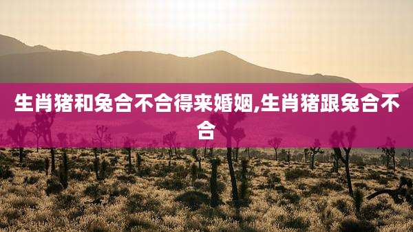 生肖猪和兔合不合得来婚姻,生肖猪跟兔合不合