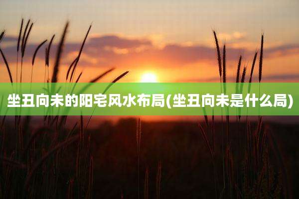 坐丑向未的阳宅风水布局(坐丑向未是什么局)