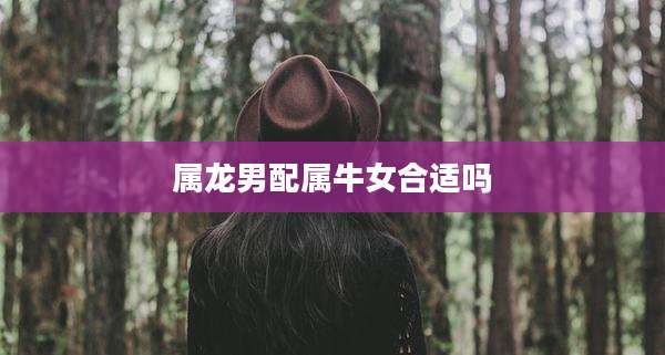 属龙男配属牛女合适吗