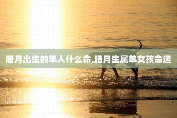 腊月出生的羊人什么命,腊月生属羊女孩命运