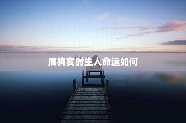 属狗亥时生人命运如何