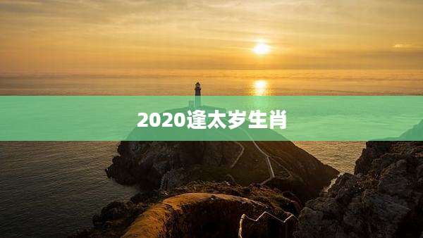 2020逢太岁生肖