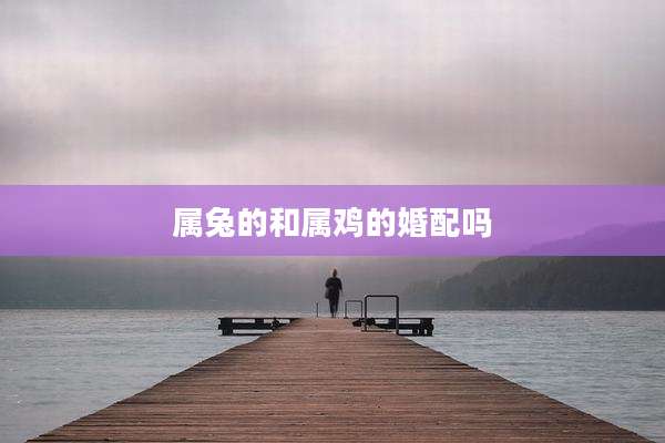 属兔的和属鸡的婚配吗
