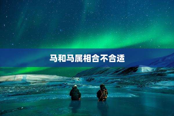 马和马属相合不合适