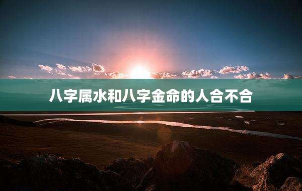 八字属水和八字金命的人合不合