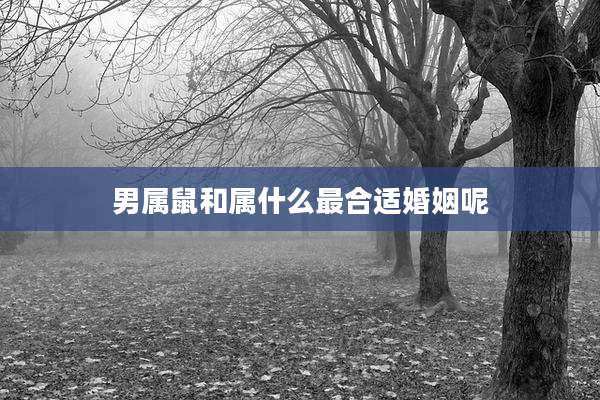 男属鼠和属什么最合适婚姻呢