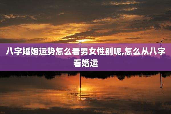 八字婚姻运势怎么看男女性别呢,怎么从八字看婚运