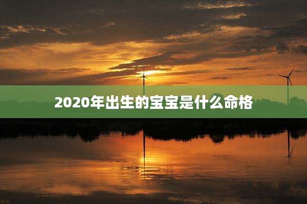 2020年出生的宝宝是什么命格