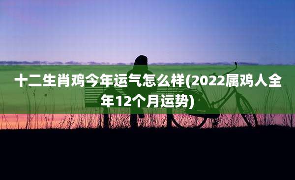 十二生肖鸡今年运气怎么样(2022属鸡人全年12个月运势)