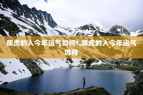 属虎的人今年运气如何?,属虎的人今年运气咋样