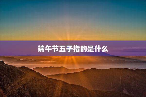 端午节五子指的是什么