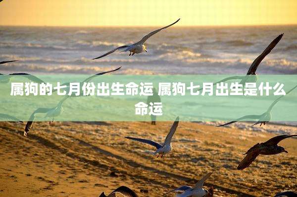 属狗的七月份出生命运 属狗七月出生是什么命运