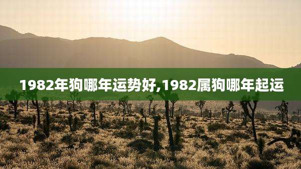 1982年狗哪年运势好,1982属狗哪年起运