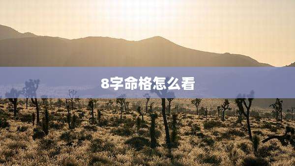 8字命格怎么看