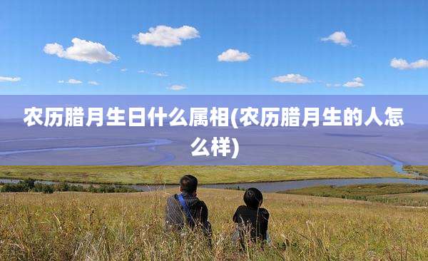 农历腊月生日什么属相(农历腊月生的人怎么样)