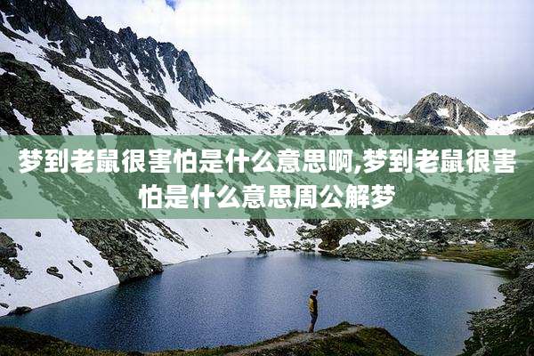 梦到老鼠很害怕是什么意思啊,梦到老鼠很害怕是什么意思周公解梦