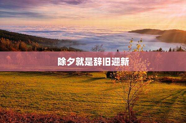除夕就是辞旧迎新