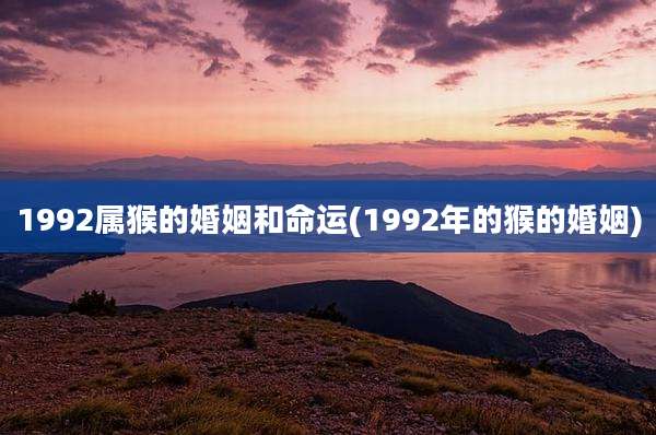 1992属猴的婚姻和命运(1992年的猴的婚姻)