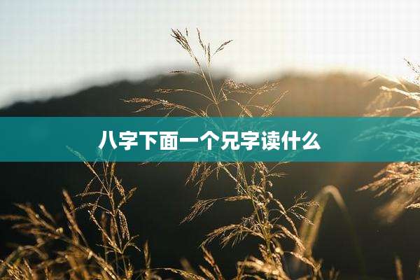 八字下面一个兄字读什么