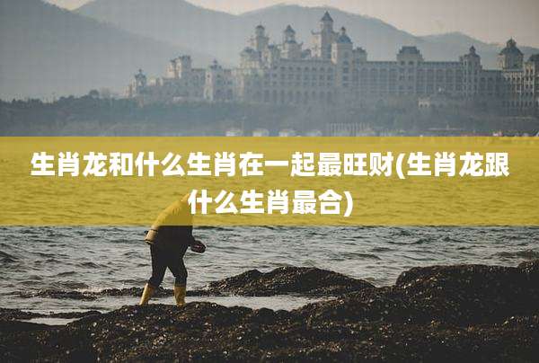 生肖龙和什么生肖在一起最旺财(生肖龙跟什么生肖最合)