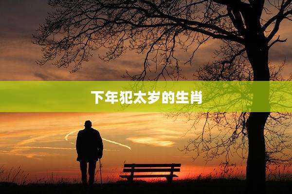 下年犯太岁的生肖