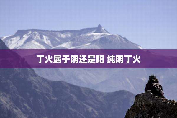 丁火属于阴还是阳 纯阴丁火