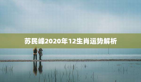 苏民峰2020年12生肖运势解析