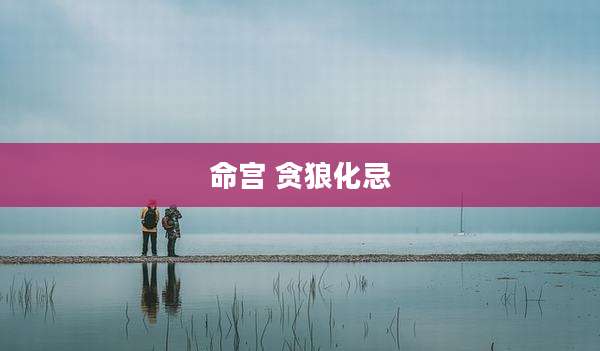命宫 贪狼化忌