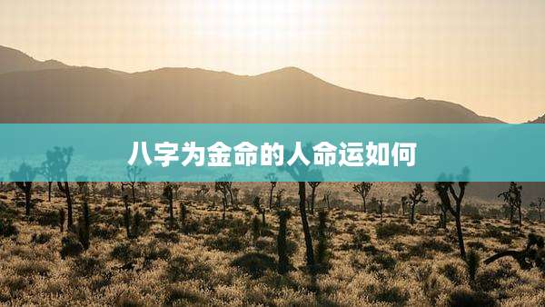 八字为金命的人命运如何