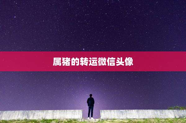 属猪的转运微信头像