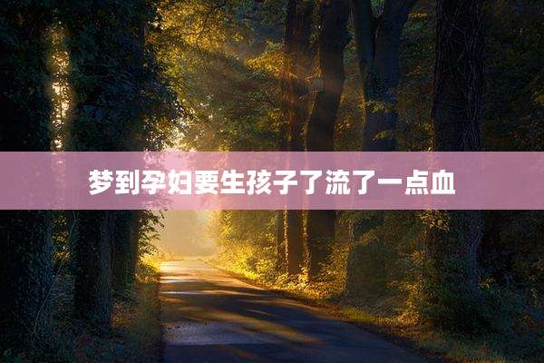 梦到孕妇要生孩子了流了一点血