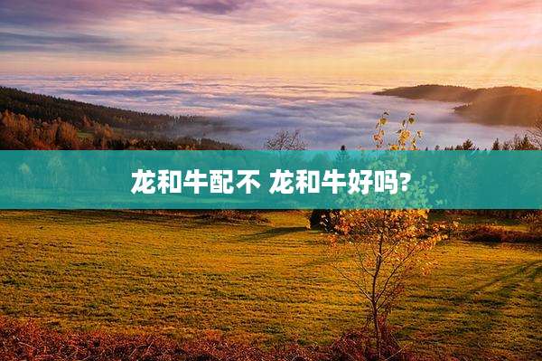 龙和牛配不 龙和牛好吗?