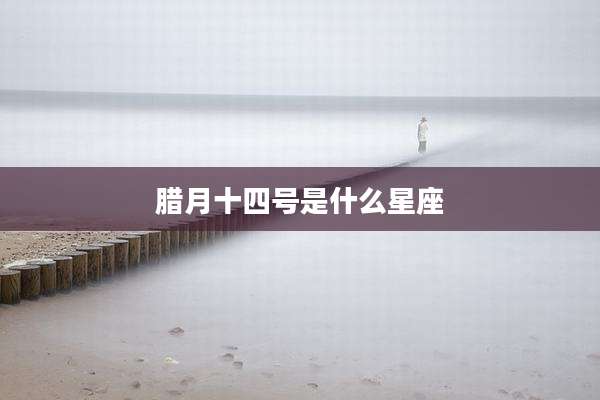 腊月十四号是什么星座